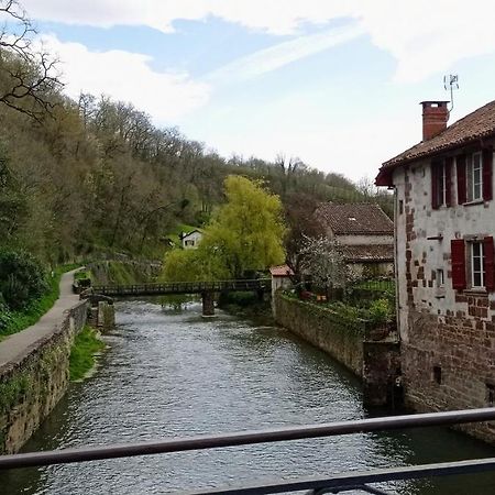 Saint Jean Pied de Port. Centre Ville. Rue Piétonne Exterior foto